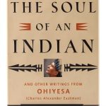Native American Literary Criticism Book by New World Library-0
