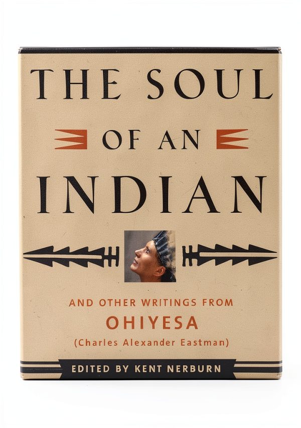 Native American Literary Criticism Book by New World Library-0