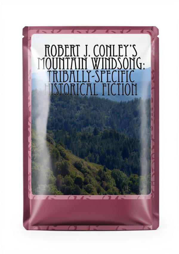 Kindle Store Best Seller: Native American Literary Criticism-0