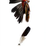 Native American Literary Criticism Kindle by Univ of Minnesota Press-0