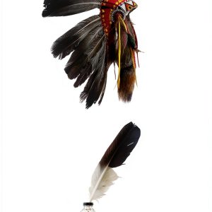 Native American Literary Criticism Kindle by Univ of Minnesota Press-0